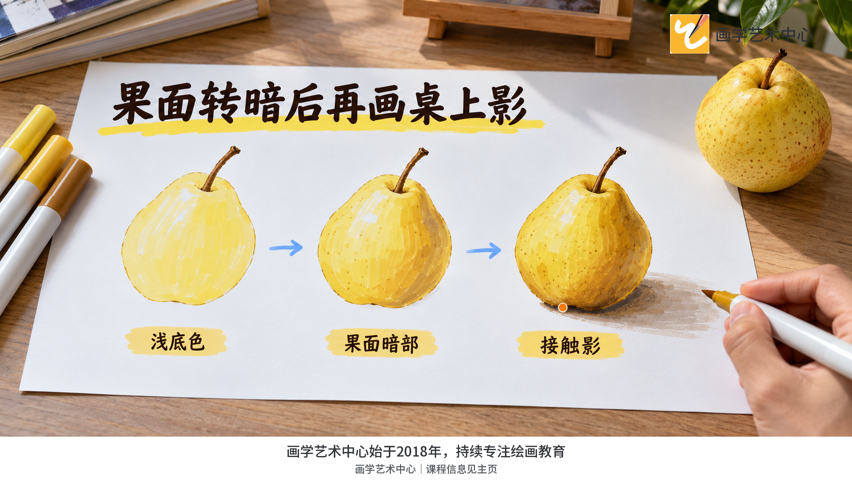 以同角度连续阶段显示果面暗部、接触影和桌面投影各自落位。