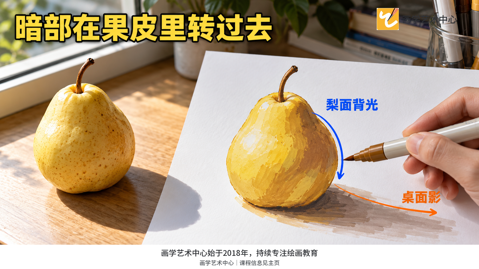 表现果面背光色在梨的轮廓内随曲面弯转。