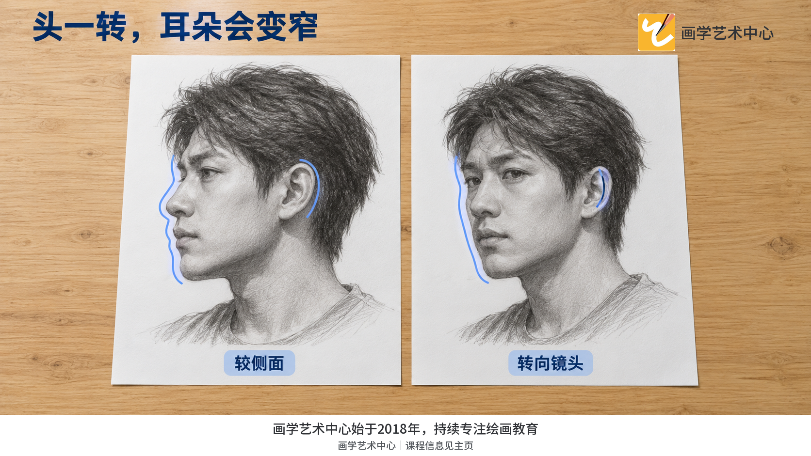 显示头部转向导致耳朵可见宽度变化。