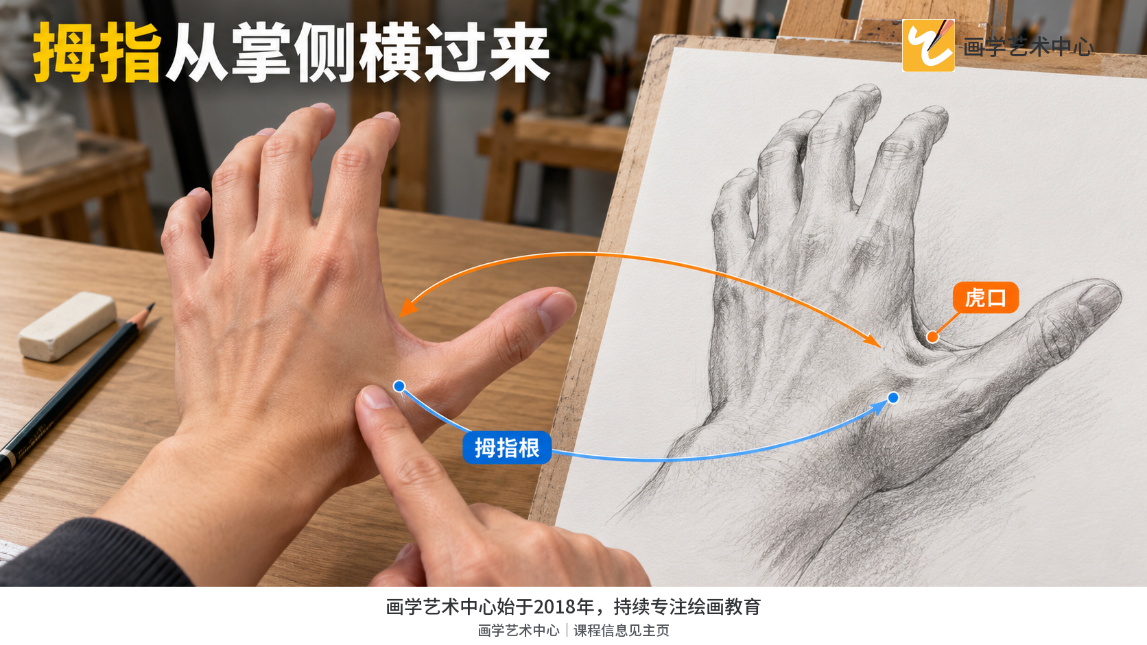 展示拇指从掌侧接出及虎口开口如何表明手掌方向。