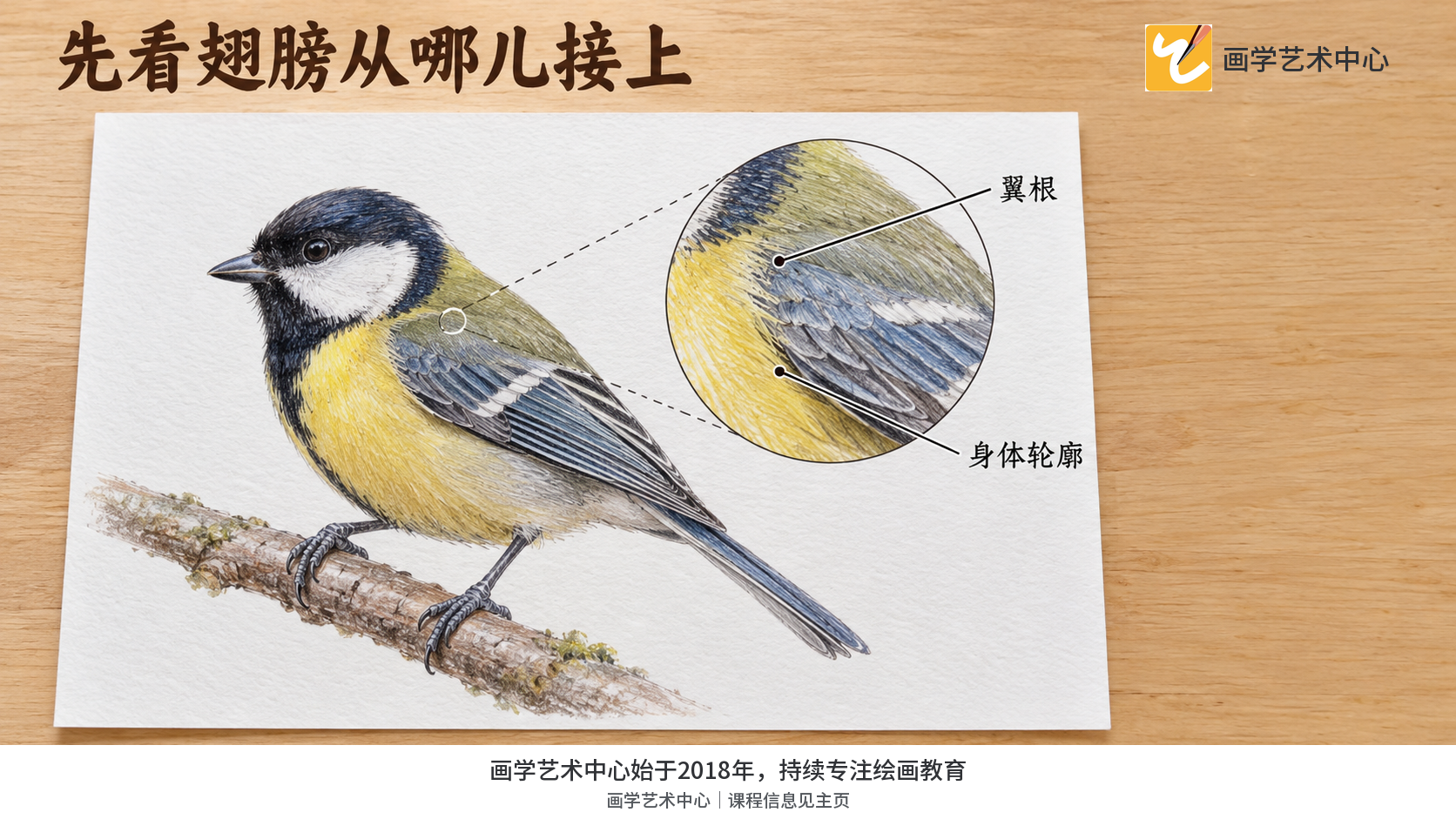 呈现翼根连接身体而非贴在侧面的关系。