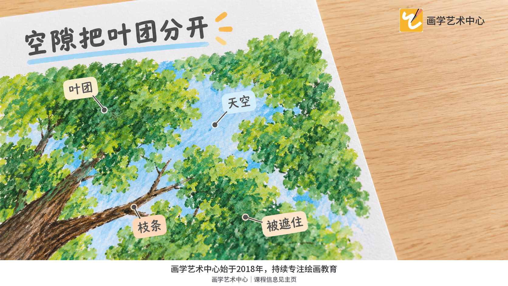 特写天空空隙如何分开叶团,并让一段枝条露出来。