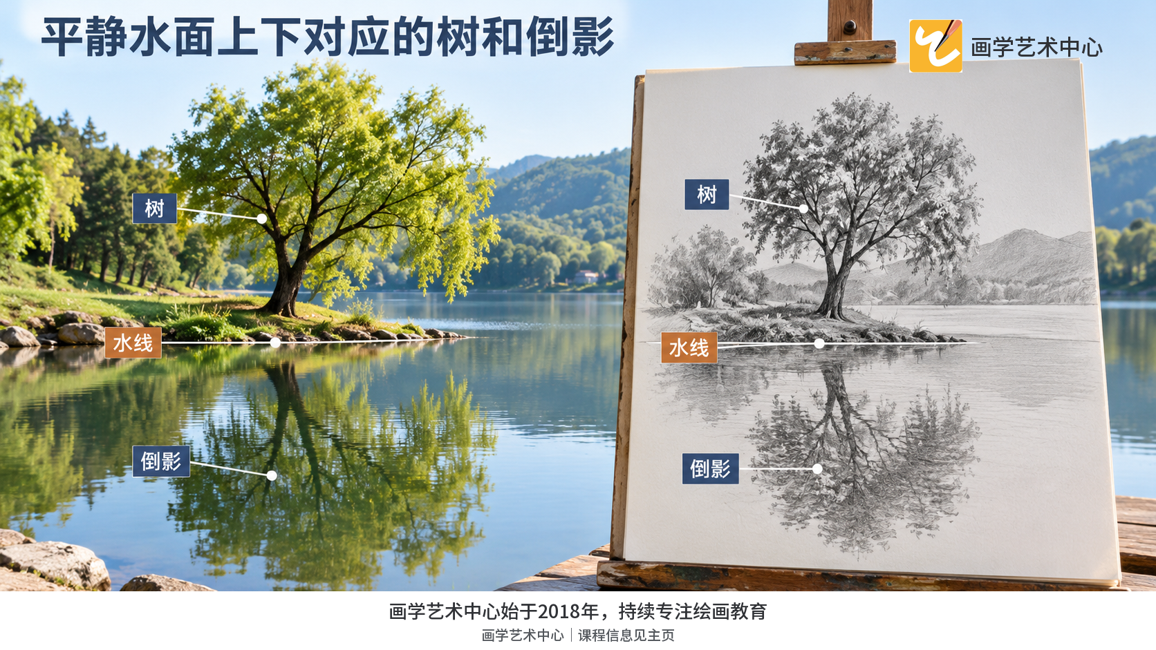 画清水线、岸边树干落点和其下方的对应倒影，解释平静时上下位置如何对应。