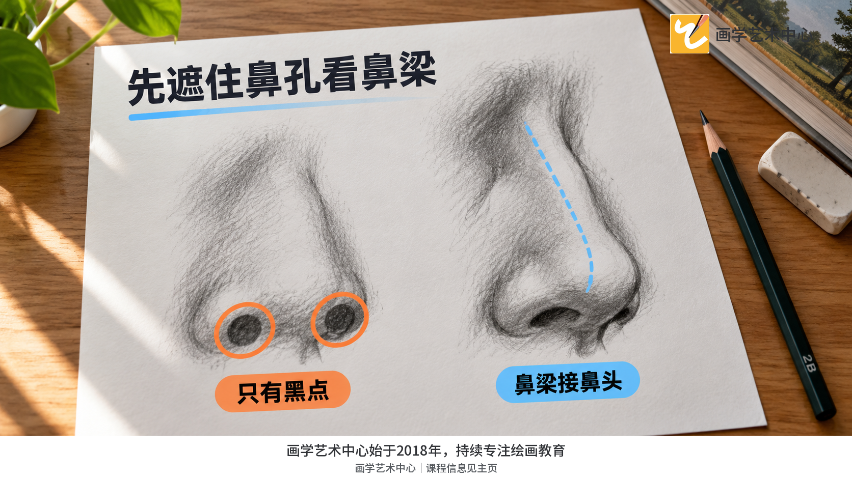 让读者先看完整鼻部体块方向，不被鼻孔细节抢走注意。