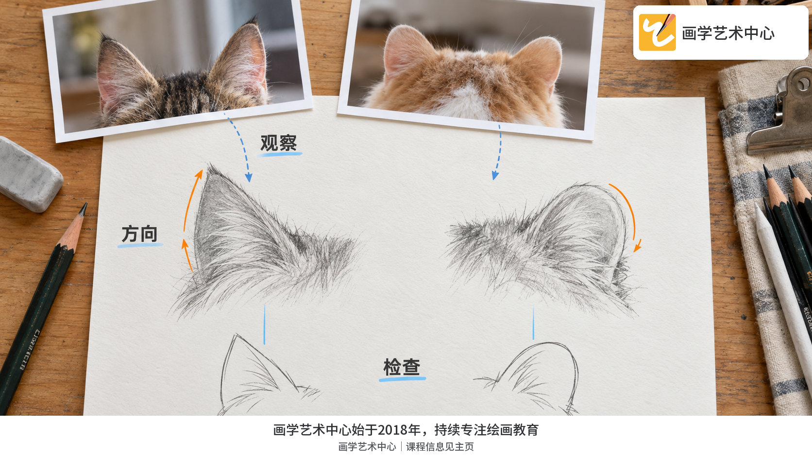 小纸上两种耳朵线稿对比,不出现完整猫成品