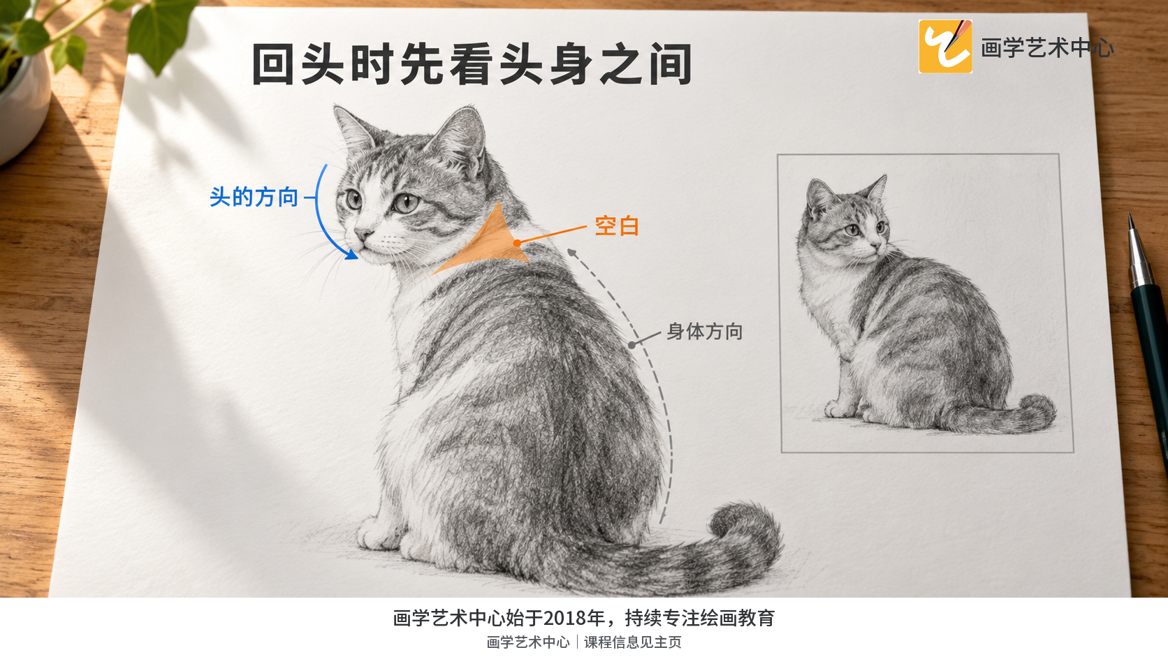 同一动物的侧头姿势，画清头部方向与颈肩连接的空隙