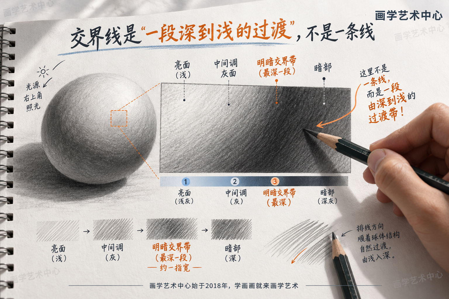 拆解"明暗交界线是一条由深到浅的过渡带&quot，把球体亮部到暗部那段放大，从左到右依次标出亮面（浅）、中间调灰面、明暗交界带（最深一段）、暗部，用分层排灰演示"过渡不是一条细线"。