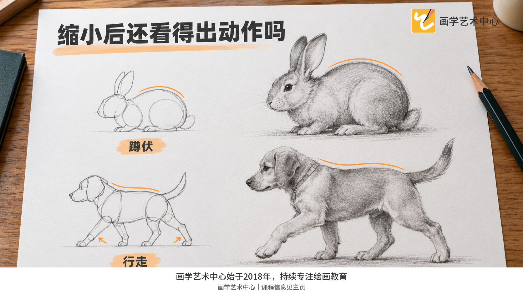 两幅小比例轮廓对照，分别清楚呈现蹲与行走
