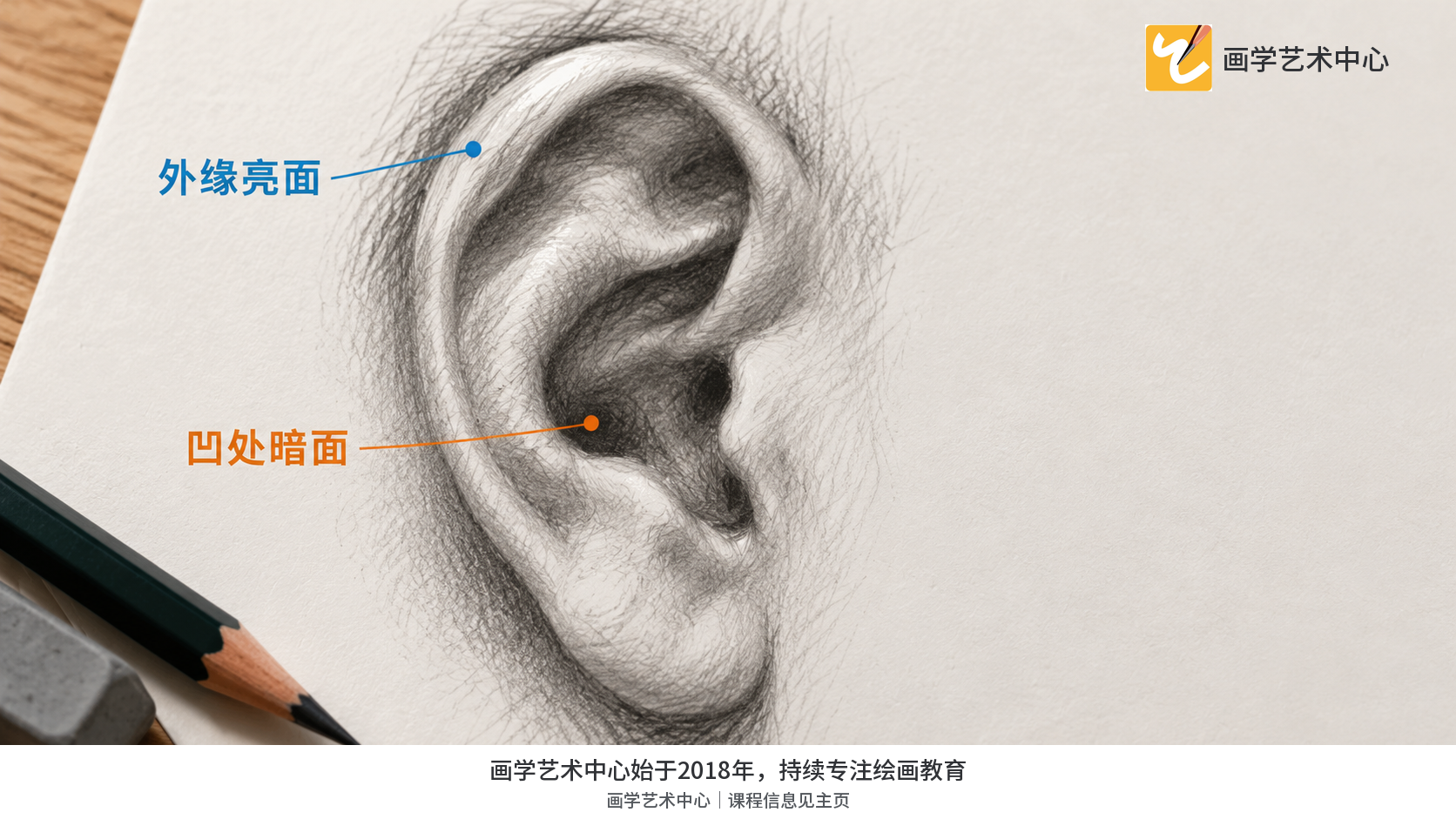 呈现耳轮外缘与耳窝明暗层次，不平均描黑。