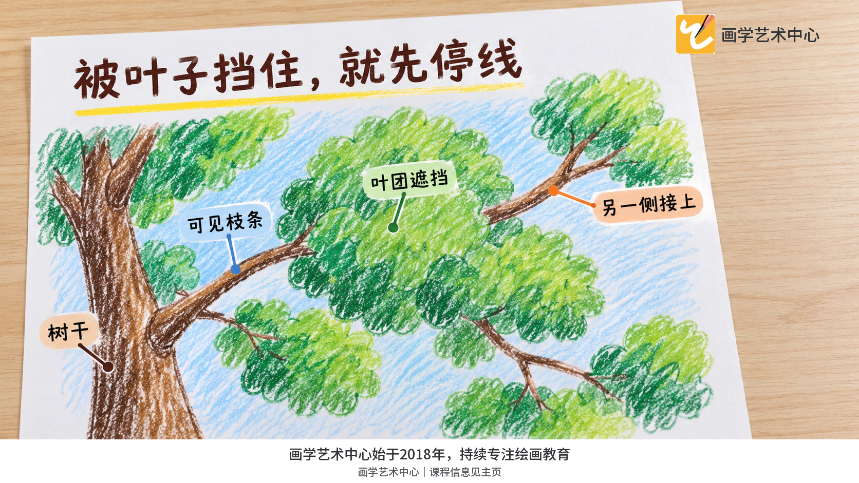 说明枝条被叶子遮挡时,线条应该在遮挡处停止,其他可见处再接。