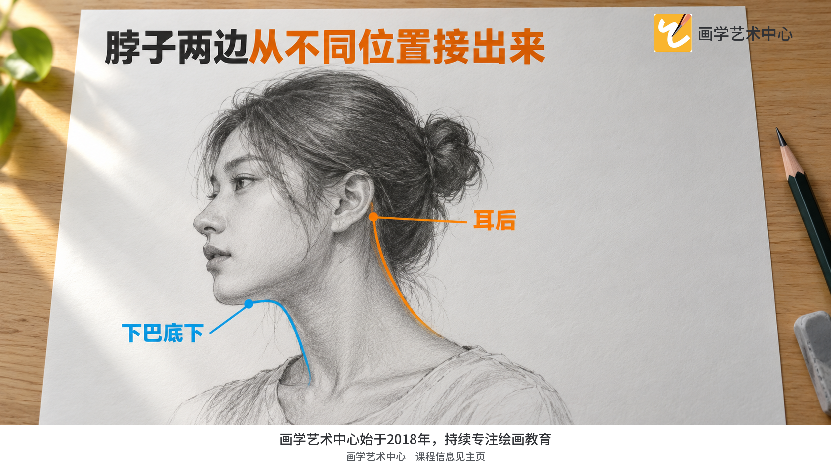 比较侧脸中下巴底下与耳后两处不同起点。