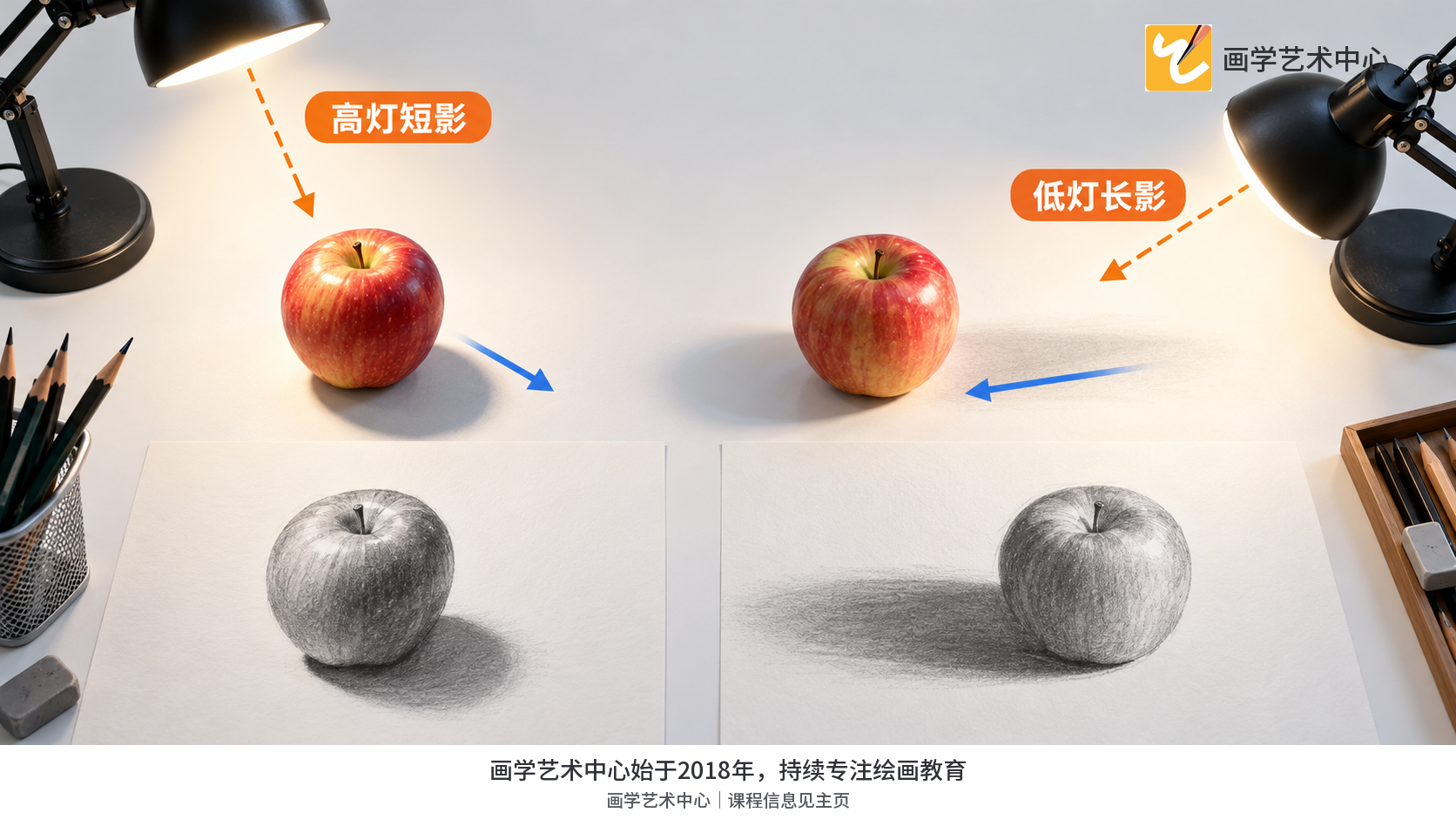 并列两种光源高度,同一苹果投影分别较长/较短且方向远离光源