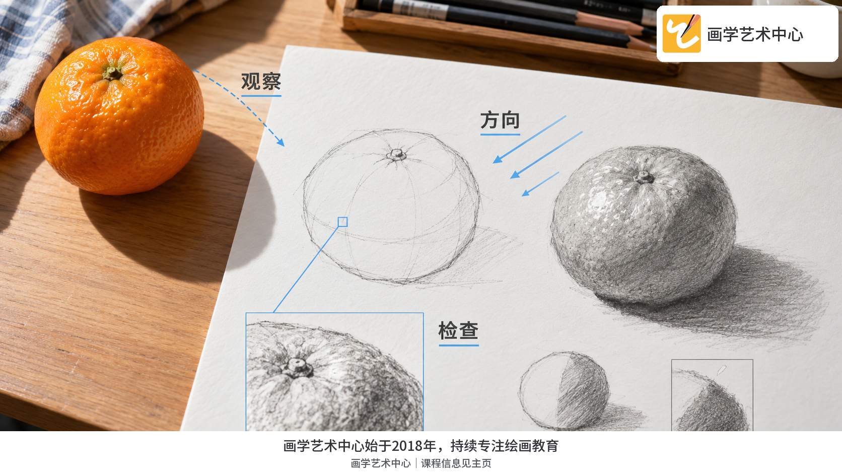 橘子和纸上简洁轮廓/明暗观察草图