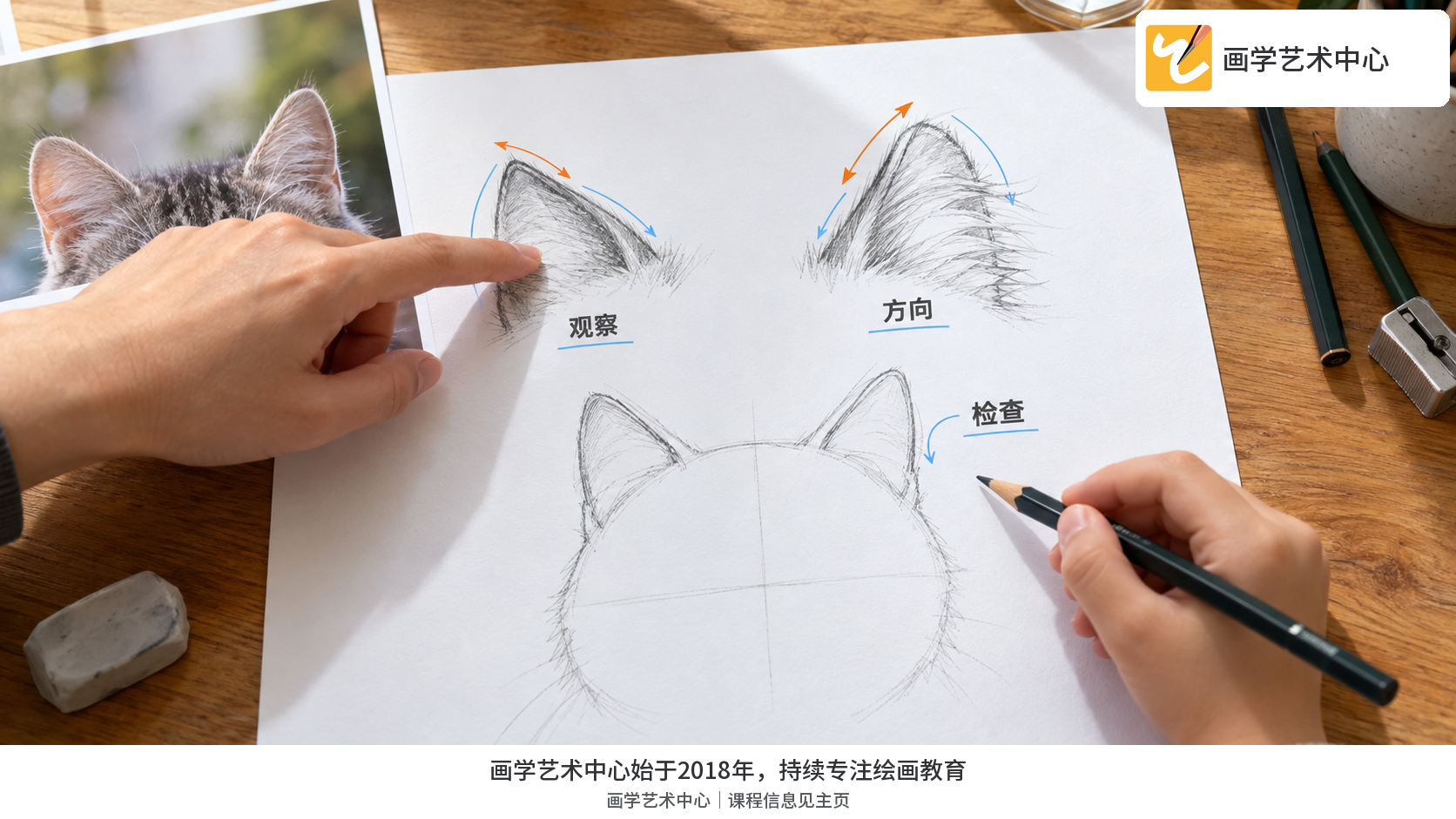 家长只示范猫耳朵局部,再把选择留给孩子