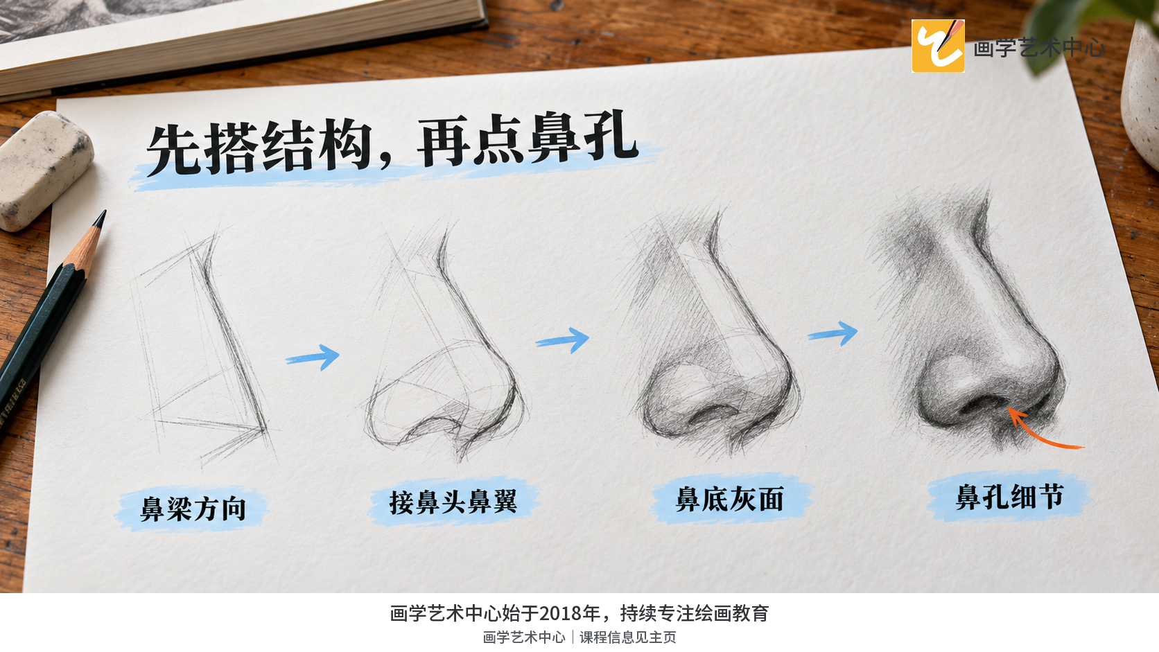 可视化鼻子由大结构到小细节的绘制顺序。
