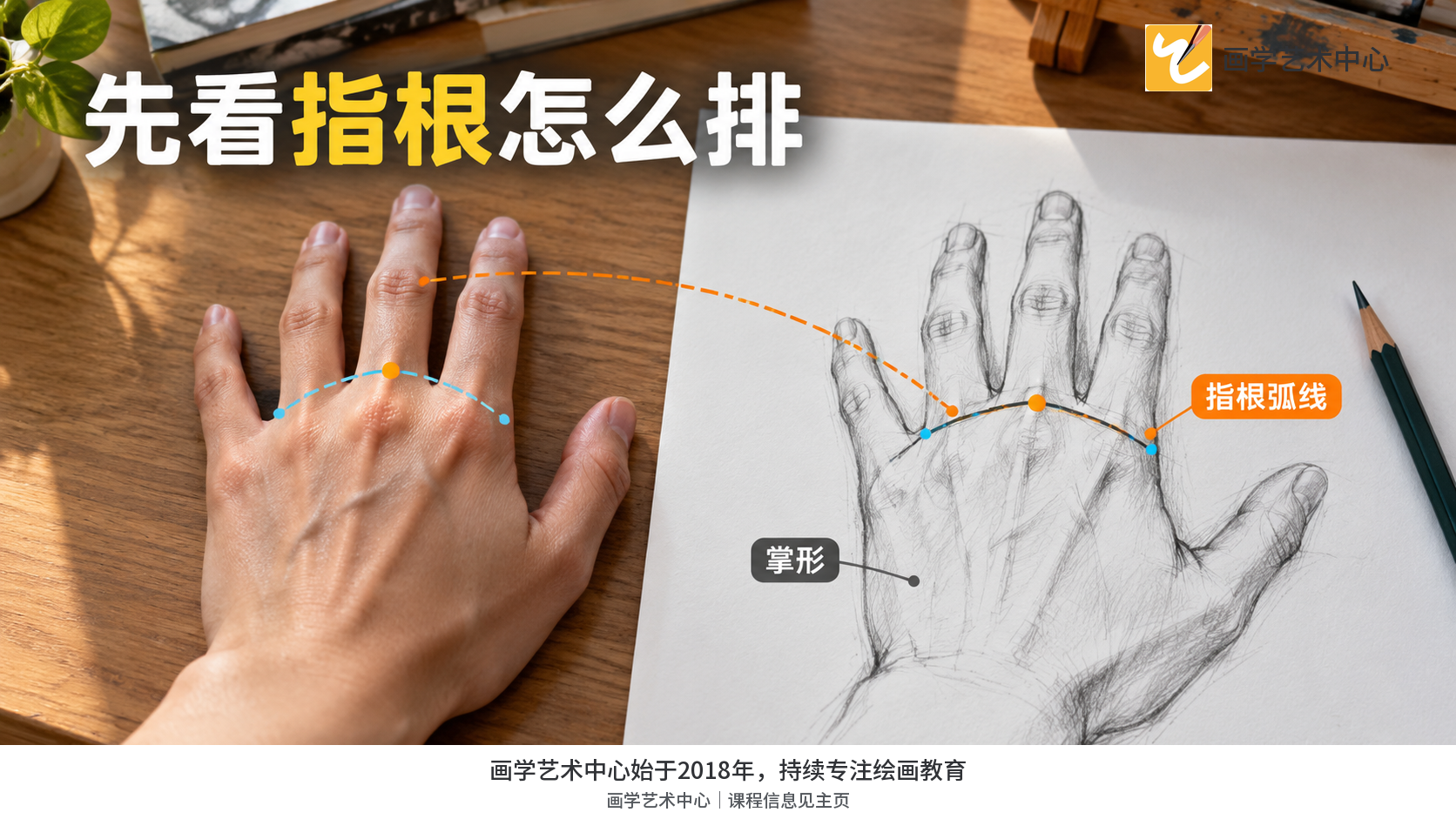 让读者看到四指根部沿掌形形成弧线而非平直横线。