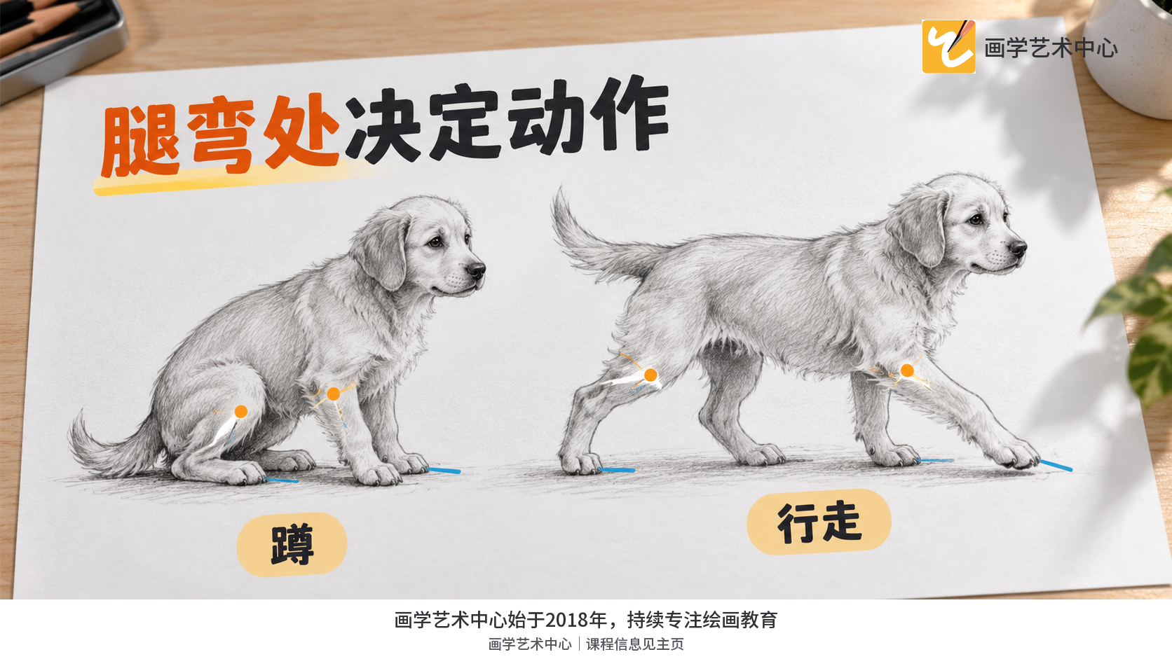 腿部折线与身体连接，展示蹲与迈步的方向差