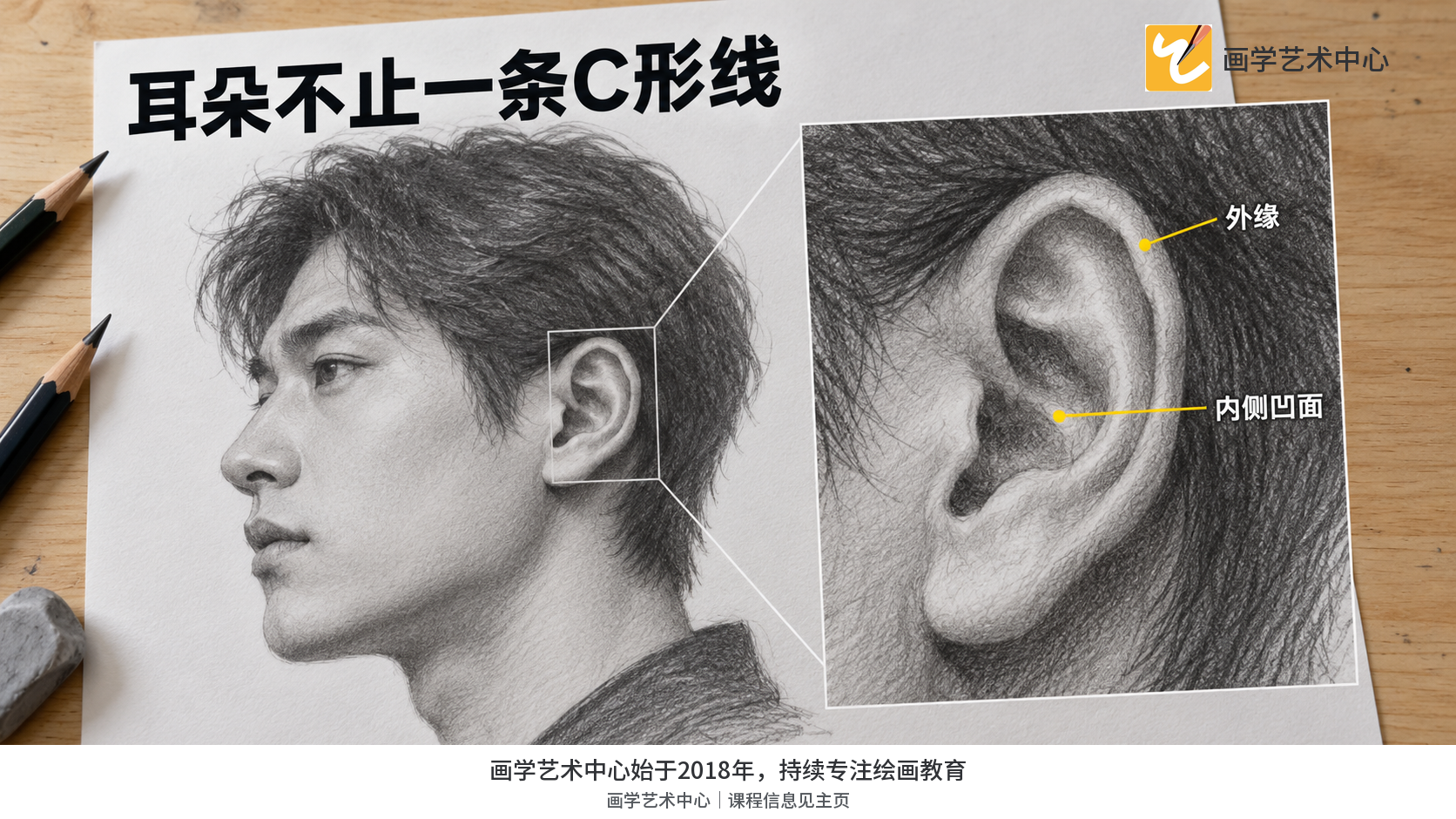 让耳朵外缘呈现厚度并包围内侧凹面。