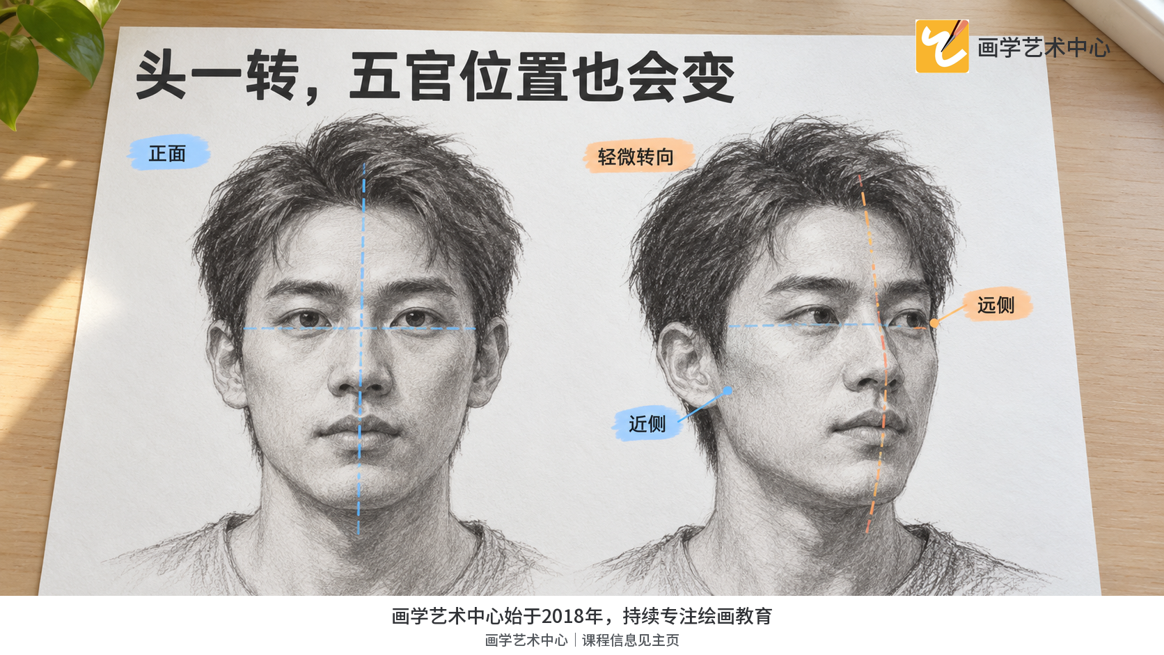 让读者看见头部转向会改变眼鼻的可见宽度与中线位置,正面比例关系不能原样套用。