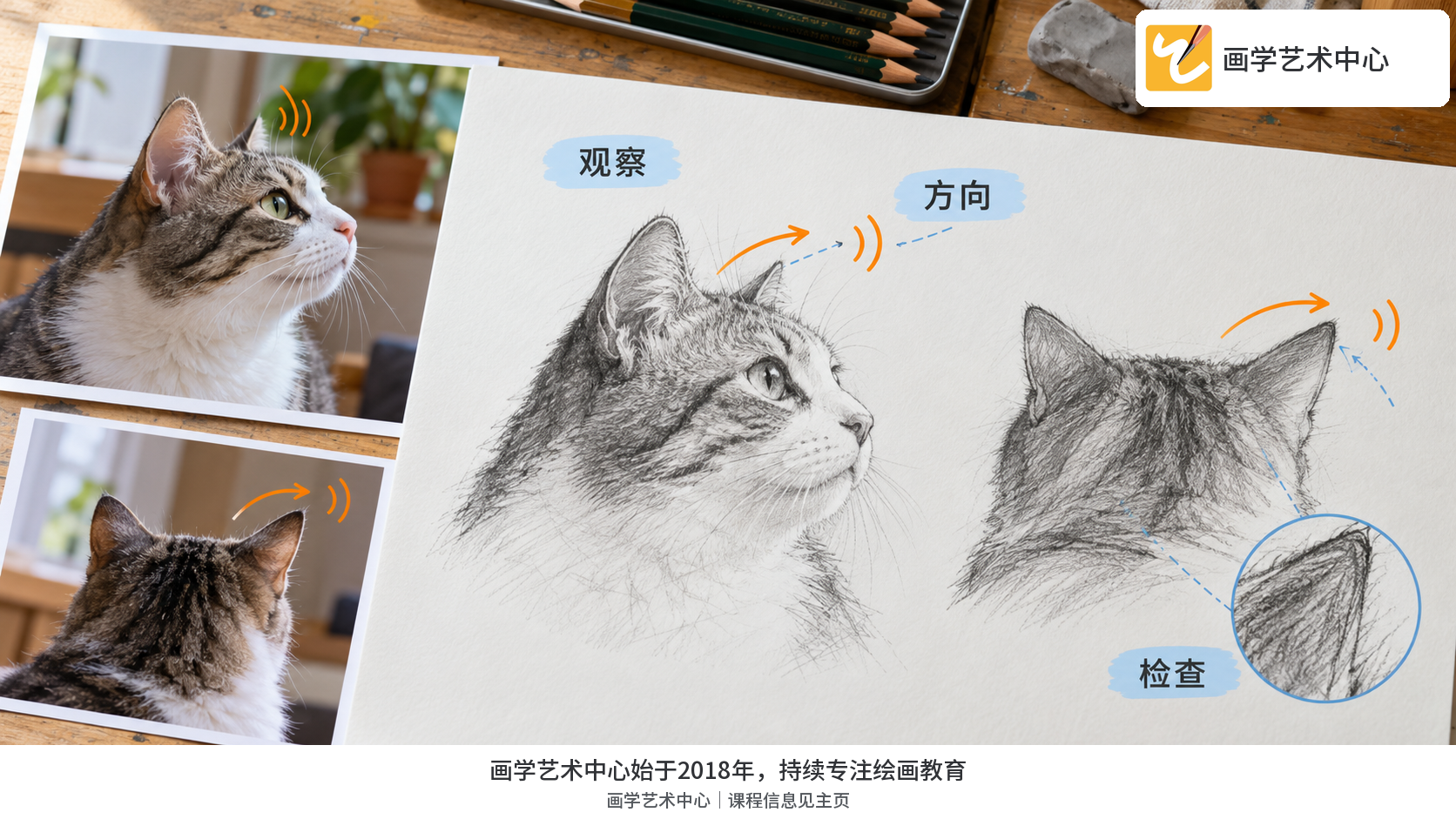 两张风格不同的猫耳朵练习并标明观察差异