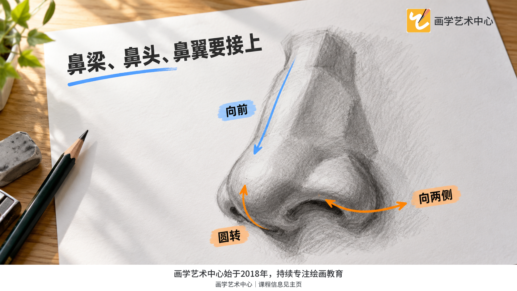 显示鼻梁、鼻头、左右鼻翼的朝向与衔接。