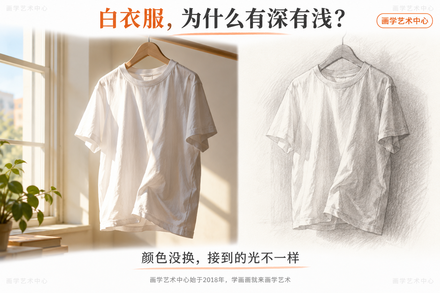 用白T恤证明同一种固有色在不同位置可以显出深浅