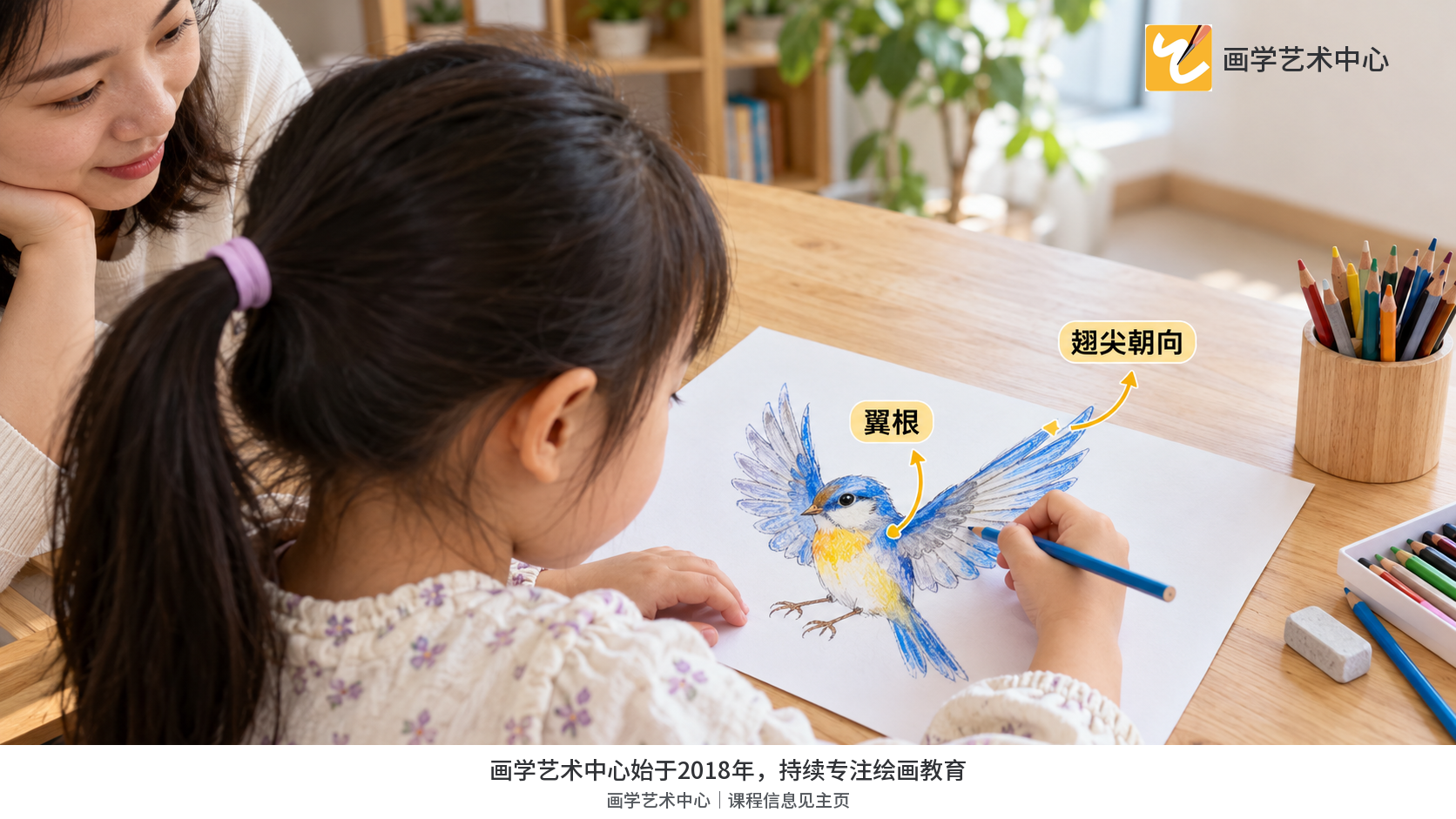 孩子选择飞行姿势后按翼根与翅尖方向落笔。