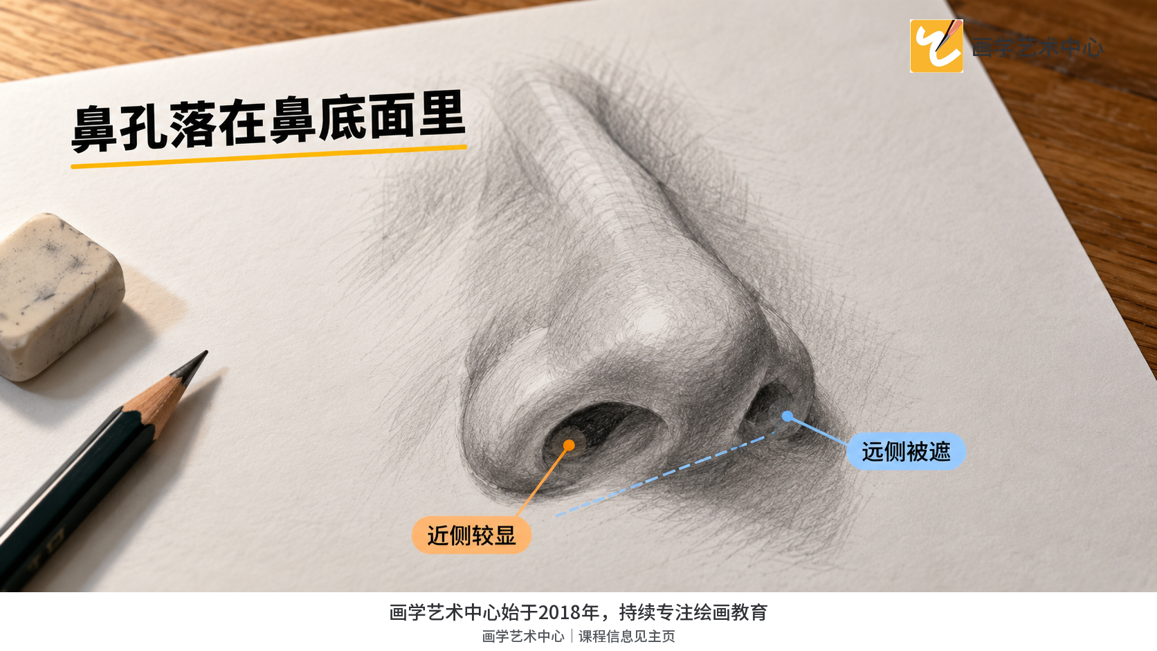 表现转头角度改变时鼻底与鼻孔的可见程度，鼻孔只是小块深色。