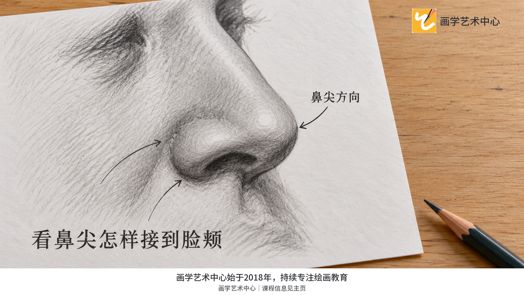 局部展示鼻尖、鼻翼与脸颊的连续关系。